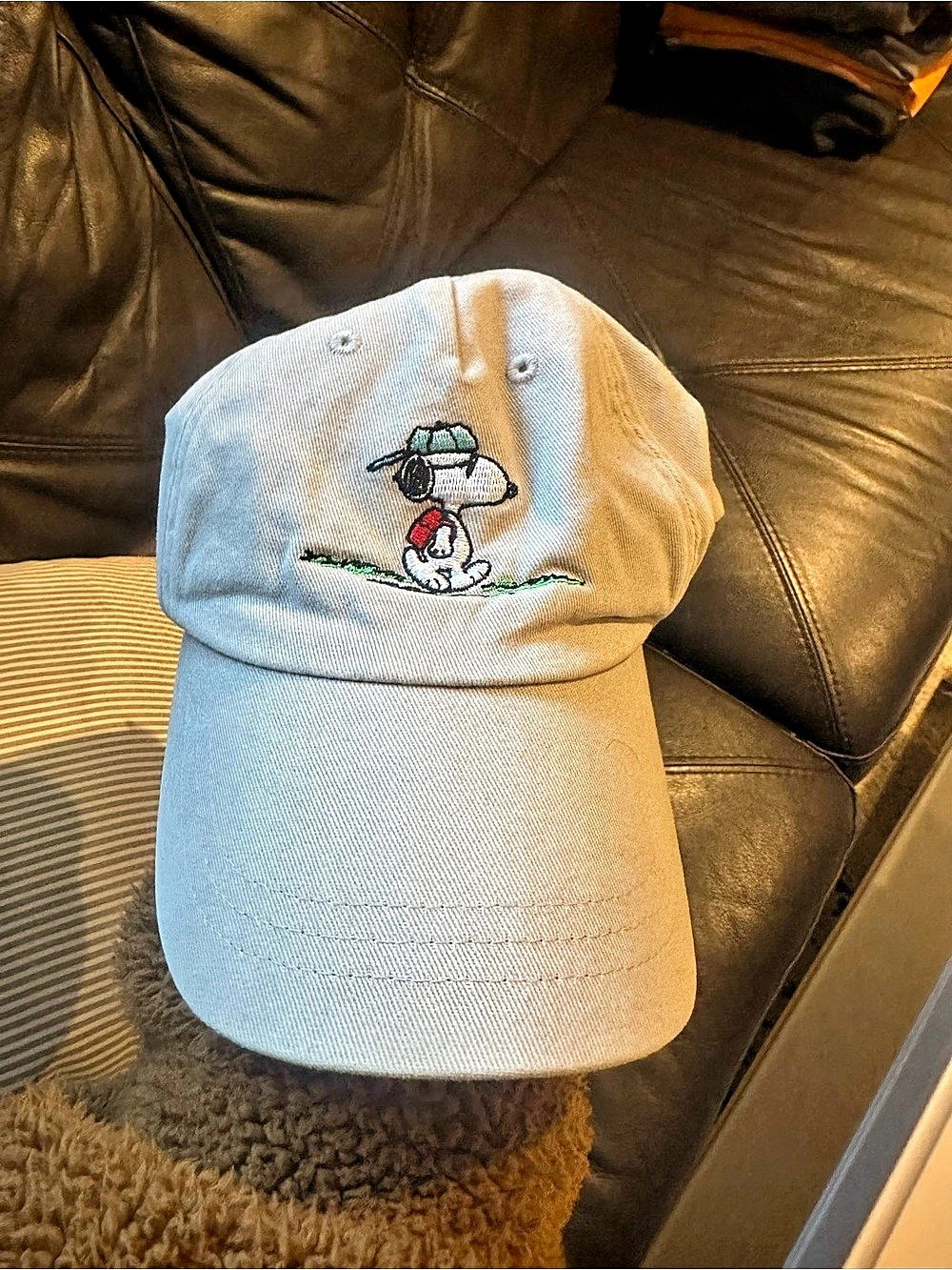 Peanuts Snoopy Embroidered Dad Hat Blue